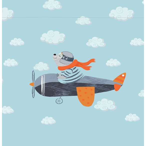 detalle funda aviador